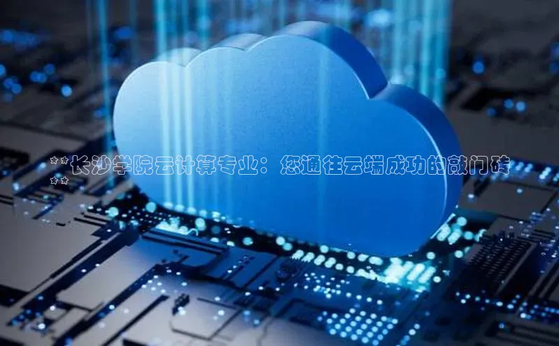 金年会金字招牌诚信至上龙年百度翻译App**长沙学院云计算专业：您通往云端成功的敲门砖
**