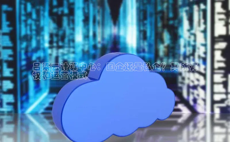 金年会官方网站入口汉得信息吕梁云计算中心：国企还是私企？其所有
权和运营模式