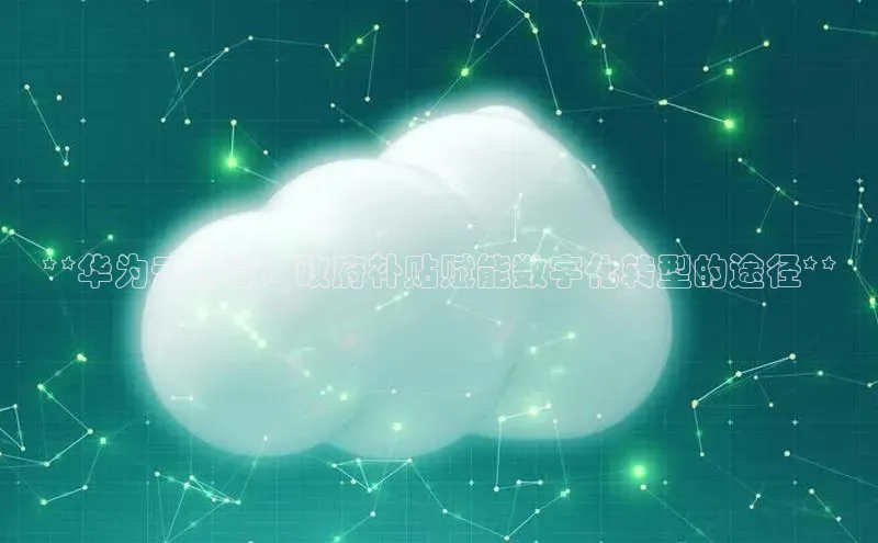金年会金字招牌诚信至上|金年会首页百度取证**华为云计算：政府补贴赋能数字化转型的途径**
