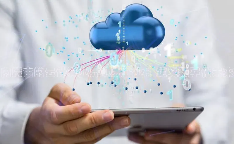 金年会网站入口视觉中国内蒙古的云计算业界领先企业：定义数字化未来