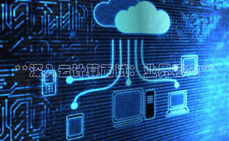 黄金城app最新版下载文心一言**深入云计算面试：业界秘密**