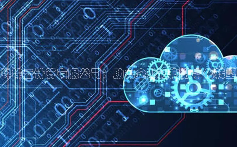 金年会 金字招牌诚信至上网易蚌埠云计算有限公司：助力企业迈向数字化转型