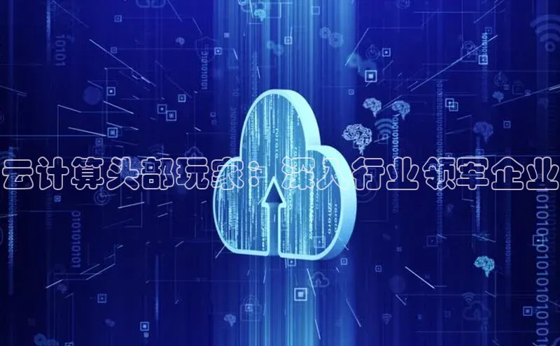 金年会金字招牌在线入口下载美团云计算头部玩家：深入行业领军企业