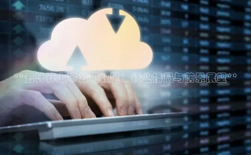 金年会·会官方入口登录度小满理财**云计算上市公司数量：行业格局与前景展望**