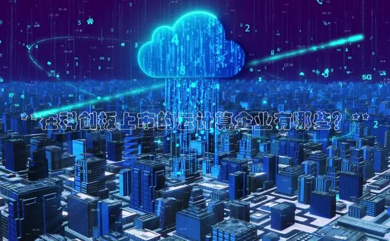 金字招牌诚信至上今年会百度学术**在科创板上市的云计算企业有哪些？**